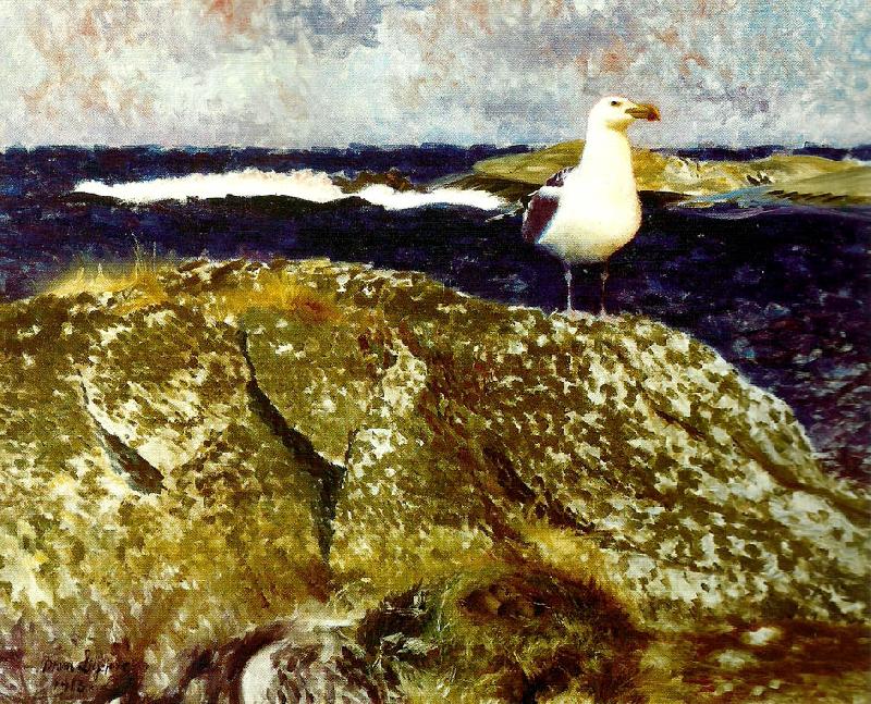 bruno liljefors havstrut vid boet Sweden oil painting art